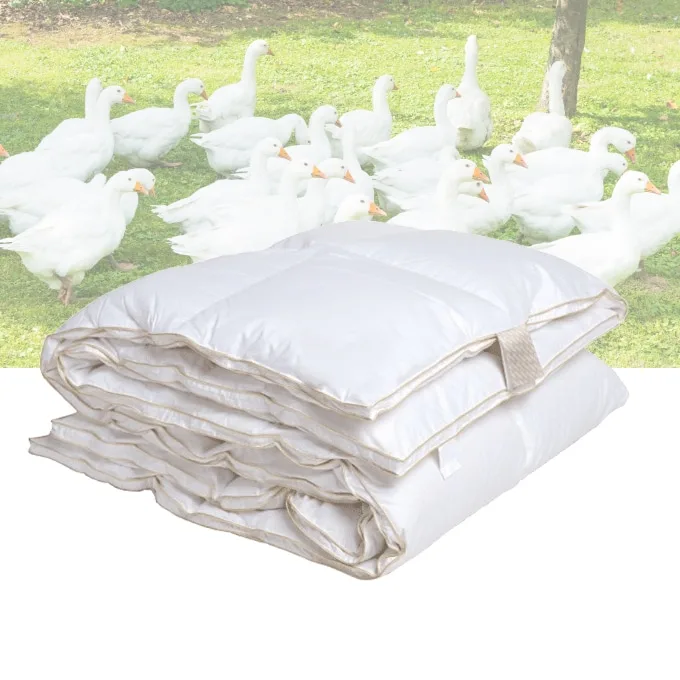 4 Seizoenen dekbed - 90% ganzendons