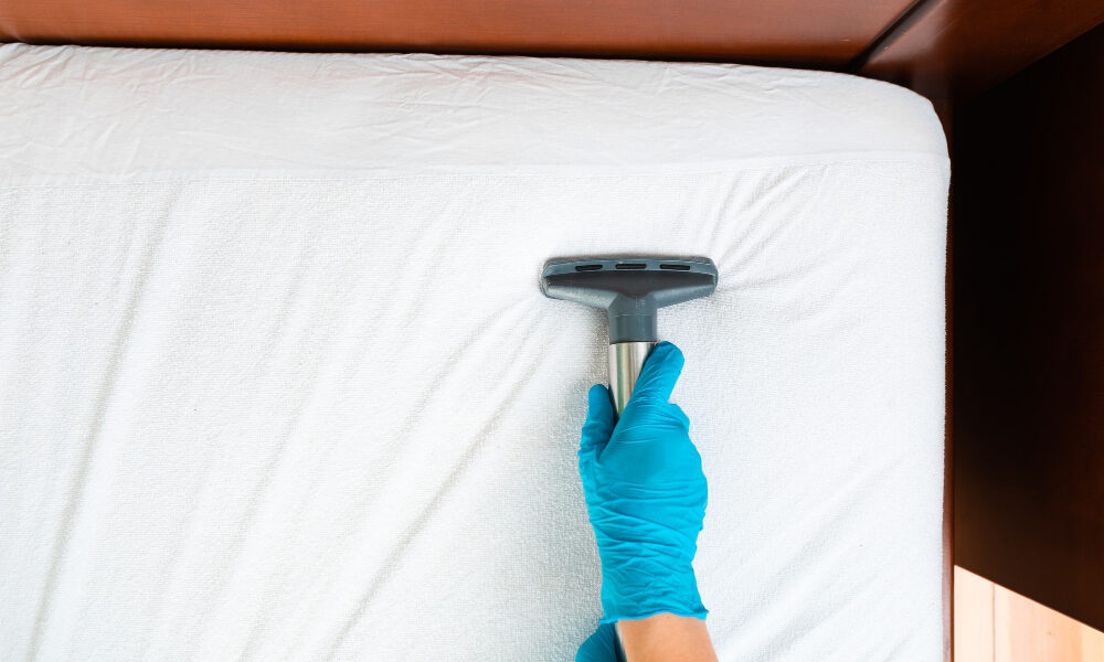 Acariens : Le danger invisible dans votre chambre à coucher