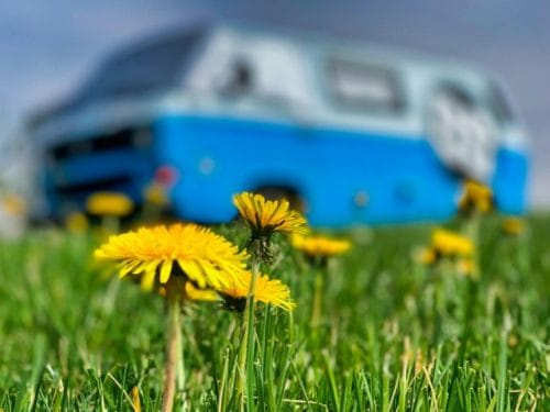 Un peu de fraîcheur pour le printemps : Réaménagement de la chambre à coucher pour un confort de sommeil optimal